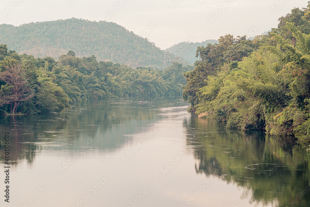 Forest Lake. the river flows among trees. Beautiful view of nature