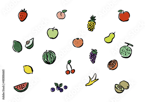 Set of a vector illustration of a fruit