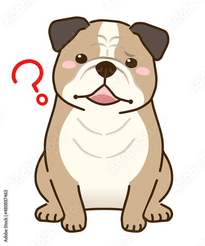 Wallpaper Mural 疑問に思うブルドッグ Torontodigital.ca