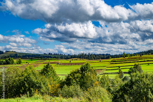 trees with green leaves on a background of fields of mountain ranges. beautiful landscape on a warm summer day.