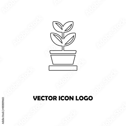 flowers design over white background vector illustration 