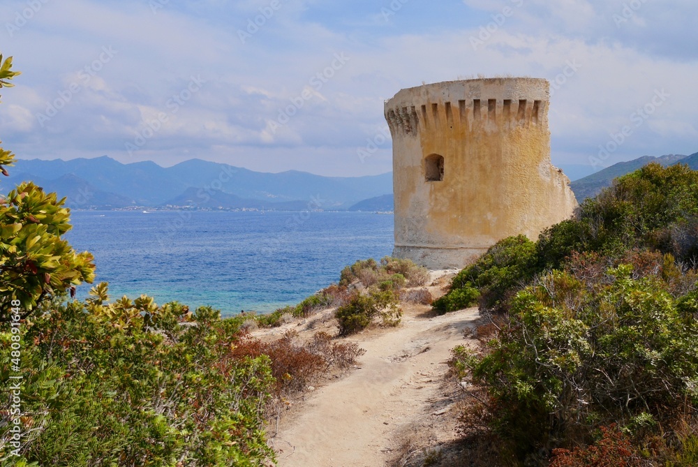 Genoise tower Punta Mortella in Desert des Agriates close to St. Florent. Corsica, France.