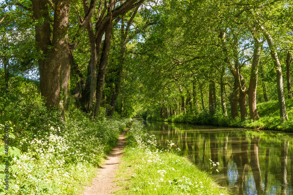 Fototapeta premium Le Canal du Midi au Seuil de Naurouze