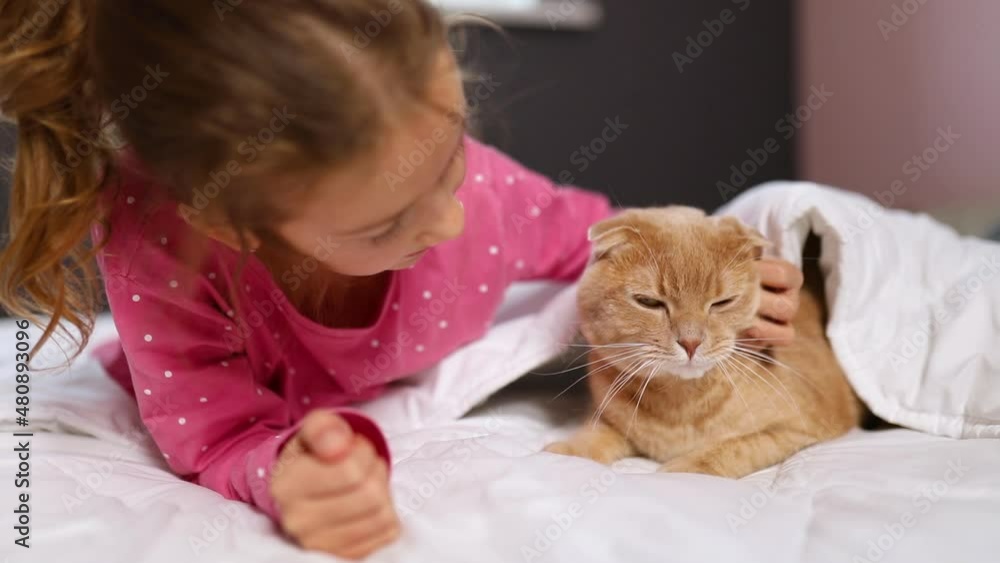 Cute ginger cat and little girl lying on a soft blanket in bed, child love pet animals, cat sleeping, cozy home and relax concept, morning bedtime. Cute ginger cat and little girl lying on a soft blanket in bed, child love pet animals, cat sleeping, cozy home and relax concept, morning bedtime.