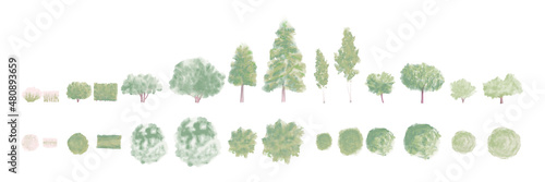 Watercolor trees - Architecture content