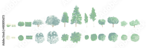 Watercolor trees - Architecture content