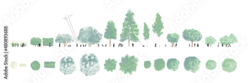 Watercolor trees - Architecture content