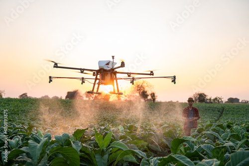Asian farmers fly drones to spray hormonal fertilizers in tobacco fields, Drone of agricultural technology concept photo