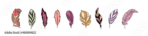 Hand drawn vector illustration bohemian, tribal, ethnic feathers.