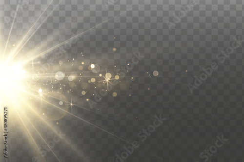 Shining golden stars. Light effects, glare, glitter, explosion, golden light. Vector illustration.