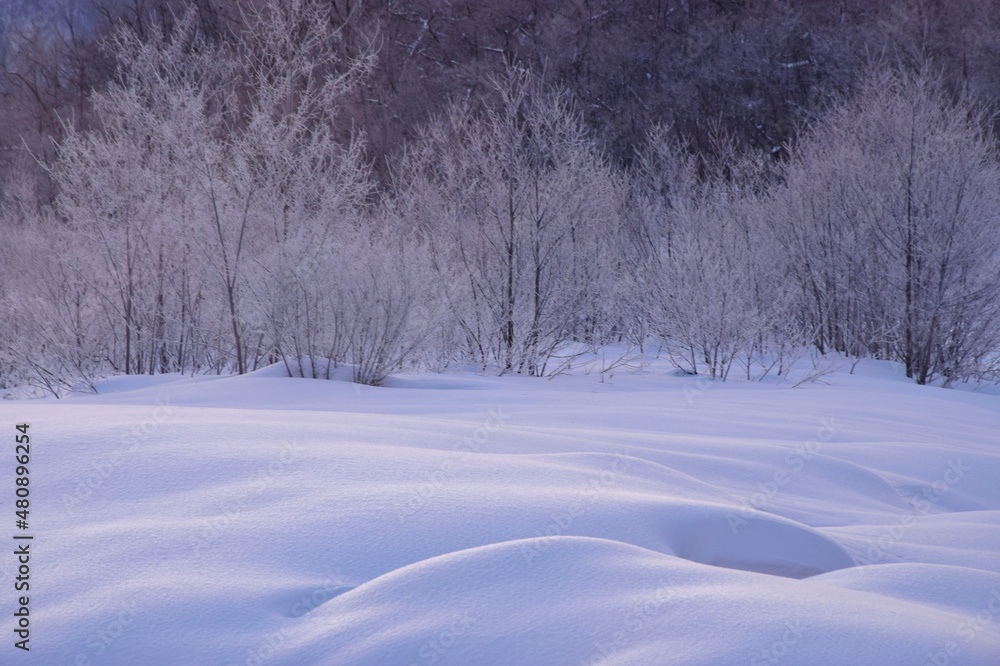 Obraz premium 雪国の朝 冬の朝の光景