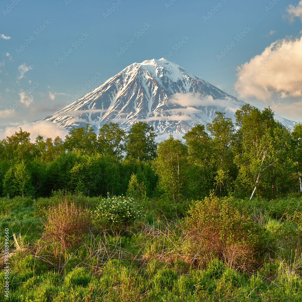 Volcanoes of Kamchatka and mountains against the backdrop of a beautiful forest. Kamchatka Peninsula, Russia. Travel and tourism in the natural park