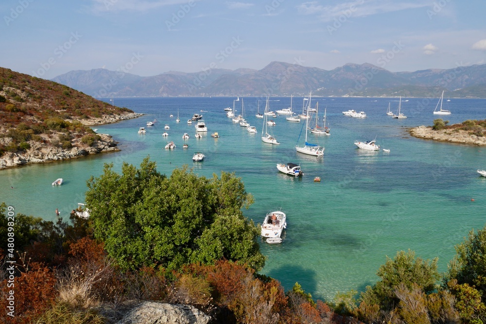 Luxury yachts in turquoise water at Fornali beach in Desert des Agriates. Corsica, France.