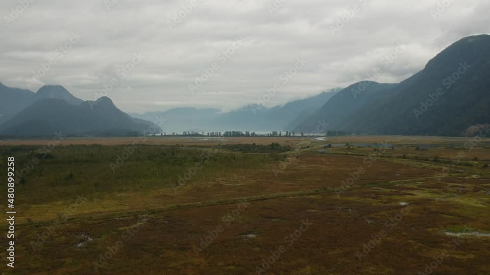 Grown-in flooded meadows with trees and Mountain lake in the far distance - British Columbia South Coast Grown-in flooded meadows with trees and Mountain lake in the far distance - British Columbia South Coast