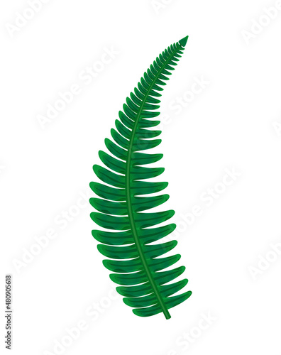 Prehistoric Plant Illustration