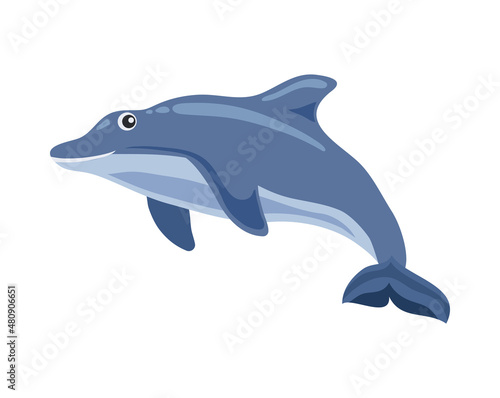 Cartoon Dolphin Illustration