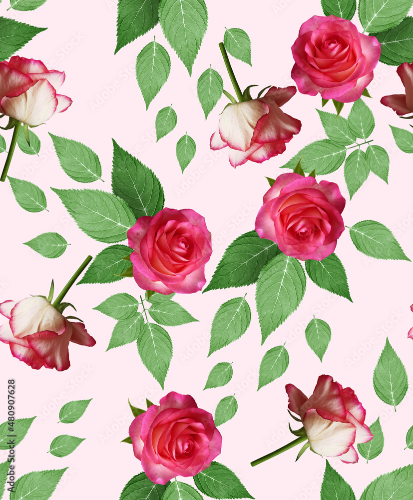 Fashionable feminine decorative stylish digital floral pattern wallpaper photo print with flowers of bright pink roses with green leaves on a trendy light pink background.