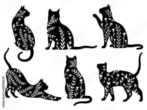 Canvas Print Set of flower cats