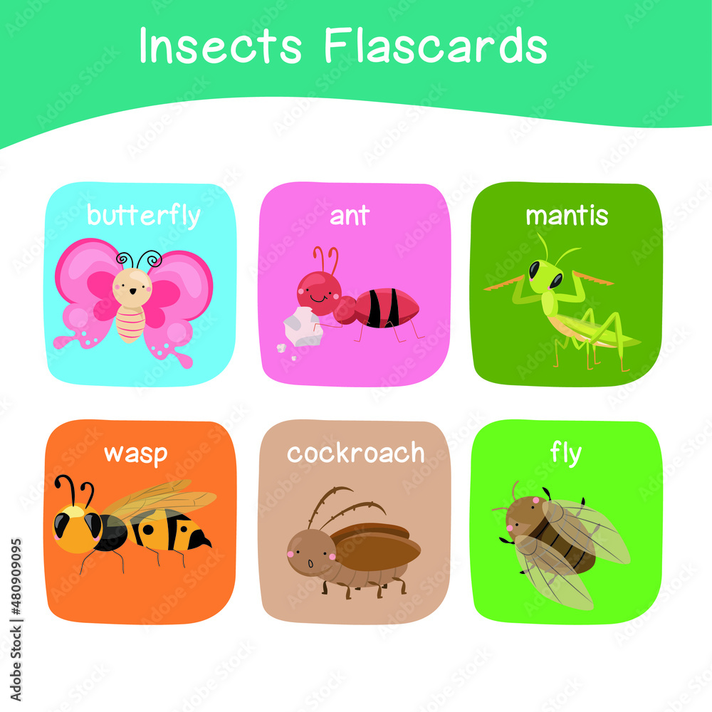 Insects Game Flashcards for Preschool Children. Cute flashcards for preschool children. Educational printable game cards with images using funny insect animals for kids. Vector illustration.