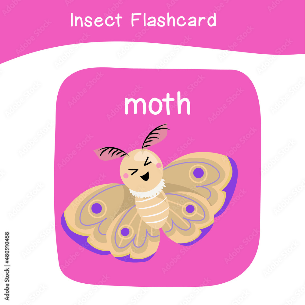 Insect Name And Cute Cartoon Image Flashcard Cute Flashcards For Preschool Children Insect Name And Cute Cartoon Image Flashcard Cute Flashcards For Preschool Children