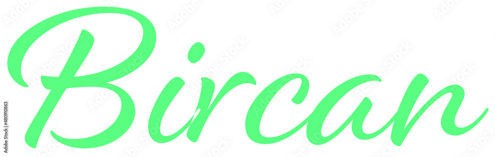 Obraz premium Bircan