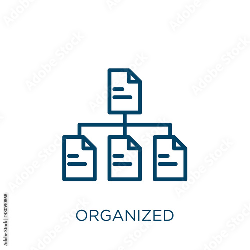 organized icon. Thin linear organized, business, human outline icon isolated on white background. Line vector organized sign, symbol for web and mobile