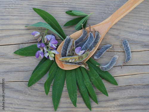 Lupin beans, seeds and lupin flowers in a spoon on a wooden table, flat layout. Medicinal plant lupines for use in food, alternative medicine, homeopathy and cosmetology