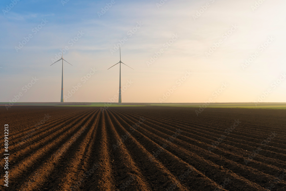 wind turbines in the field in sunlight