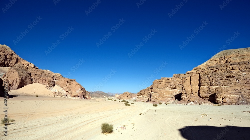 Fototapeta premium color canyon and white canyon from Sinai desert and mountains