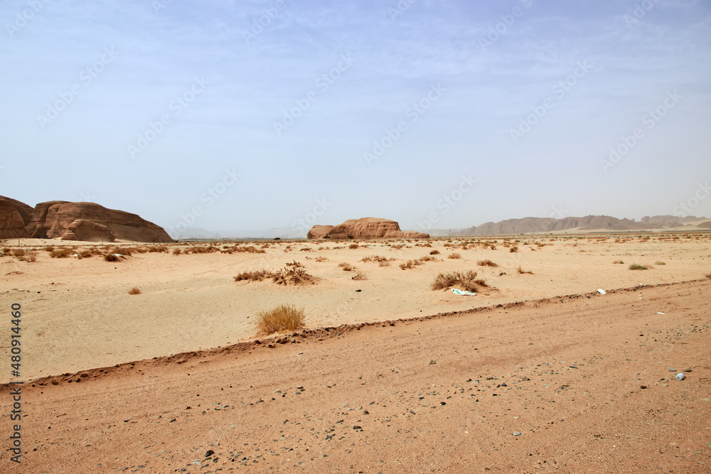 Nature in the desert close Al Ula, Saudi Arabia