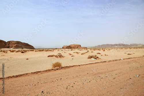 Nature in the desert close Al Ula  Saudi Arabia