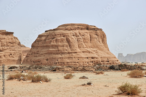 Nature in the desert close Al Ula, Saudi Arabia