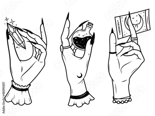 Set of witch's hands. Collection of female magic hands with tarot card, potion vial, crystal, etc. Female hands with manicure. Halloween. Vector illustration isolated on white background.