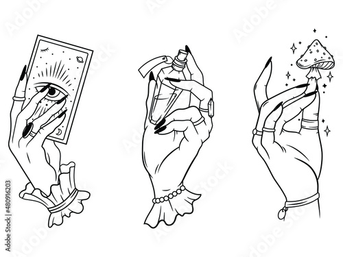 Set of witch's hands. Collection of female magic hands with tarot card, potion vial, crystal, etc. Female hands with manicure. Halloween. Vector illustration isolated on white background.