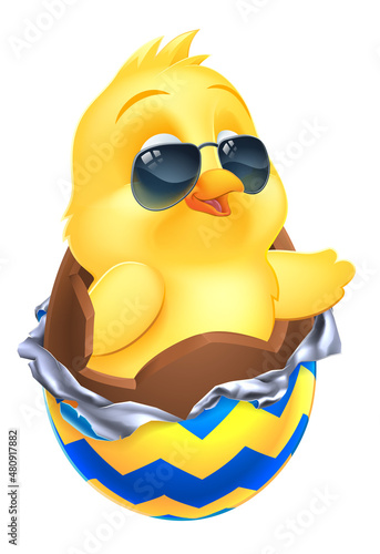 Easter Baby Chick Chicken B...