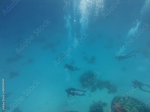 Scuba diver underwater. A group of scuba divers at the bottom of the sea. Underwater world of the Red Sea. Beautiful corals and fish underwater. Freediving.