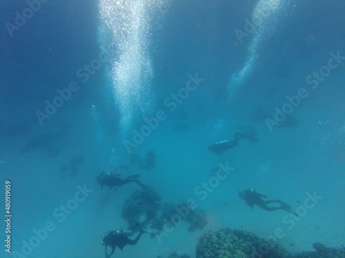 Scuba diver underwater. A group of scuba divers at the bottom of the sea. Underwater world of the Red Sea. Beautiful corals and fish underwater. Freediving.