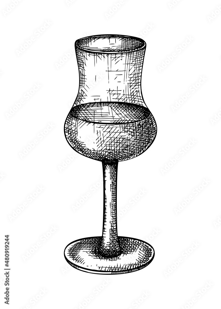 Handsketched whiskey, brandy, rum glass illustration. Vector sketch of