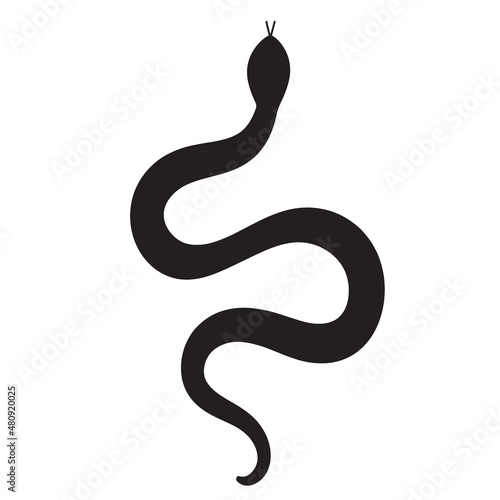 Snake silhouette, isolated mystic black snake on white background