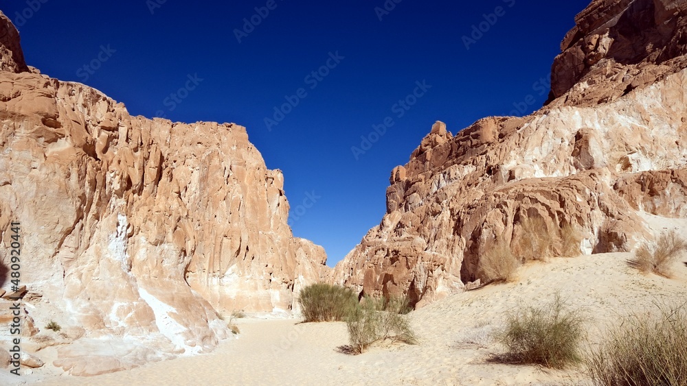 Fototapeta premium color canyon and white canyon from Sinai desert and mountains 