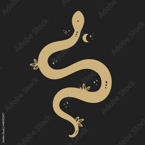 Vector vintage mystical gold snake with moon, stars, leaves on black background. Spiritual esoteric occultism symbols.