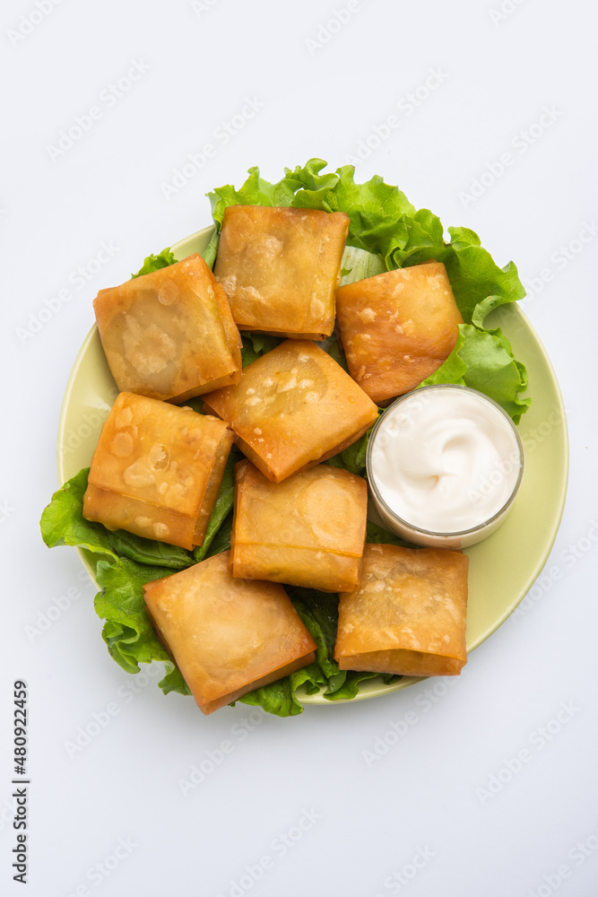 Chinese samosa square shape Chinese samosa square shape