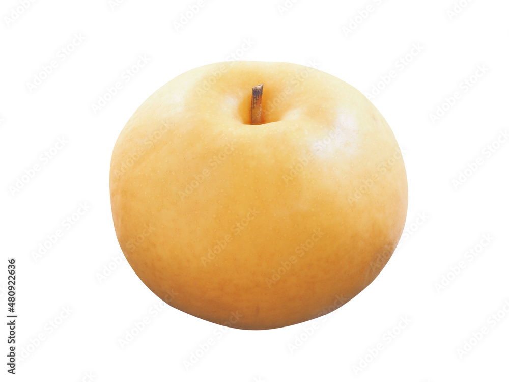 Snow pear or Fengsui pear Snow pear or Fengsui pear