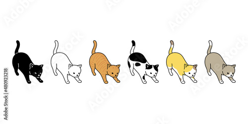 cat vector kitten calico icon breed neko character cartoon pet doodle illustration symbol design
