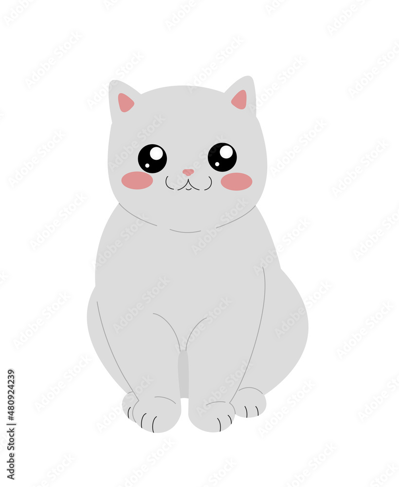 cute white fluffy cat with big eyes on a white background