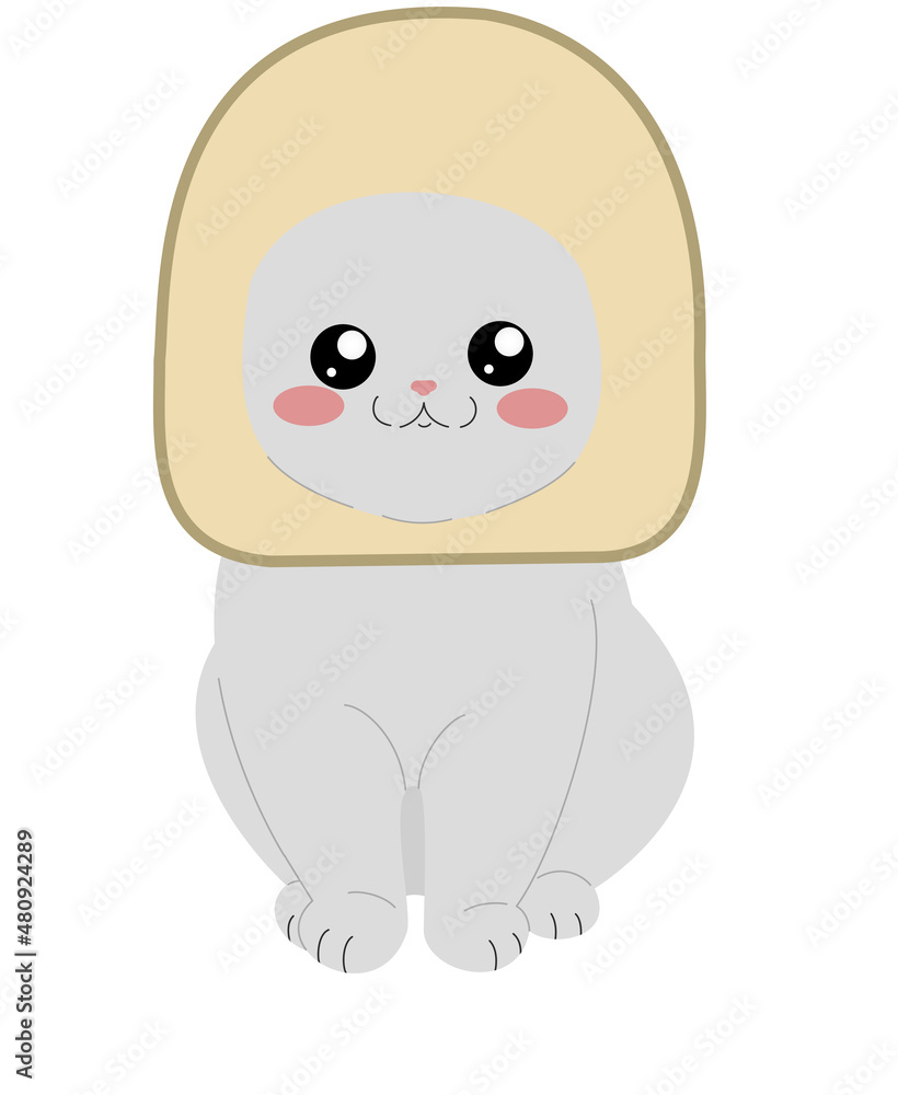 Naklejka premium cute white cat with big black eyes with bread on his head sits on a white background