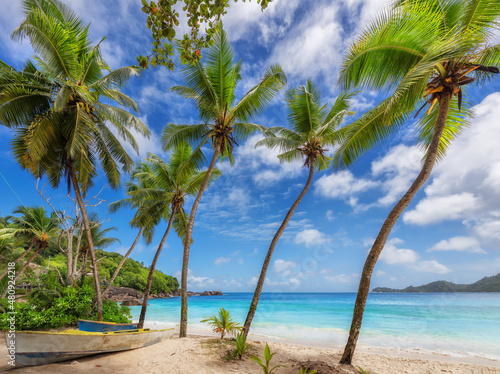 Palm trees in beautiful tropical beach in Seychelles. Summer vacation and tropical beach concept.