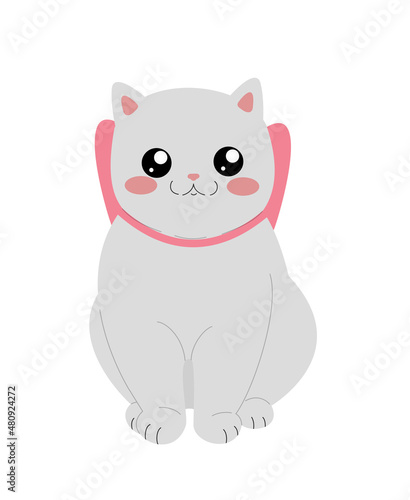cute white cat with big black eyes with a pink bow around his neck sits on a white background