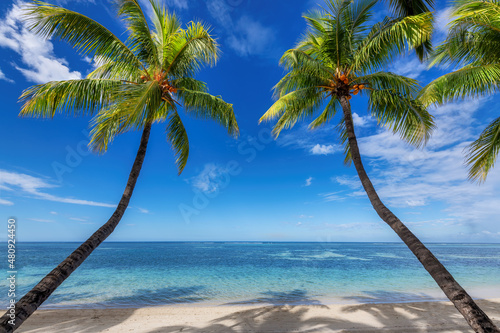 Paradise beach with white sand and coco palms. Summer vacation and tropical beach concept.