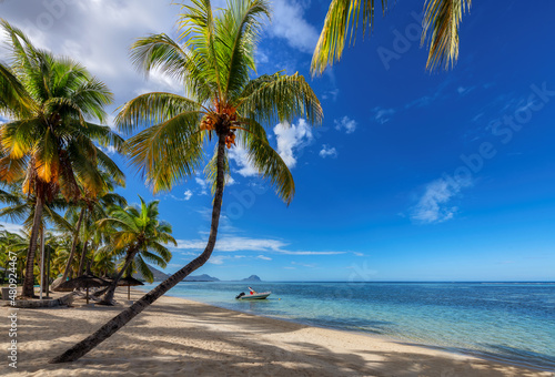 Tropical beach with palm trees and turquoise sea in Mauritius island.